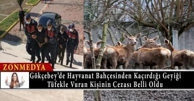 Zonguldak’ta hayvanat bahçesinden kaçırdığı alageyiği tüfekle vuran kişinin cezası belli oldu
