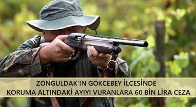 Zonguldak’ın Gökçebey ilçesinde koruma altındaki ayıyı vuranlara 60 bin lira ceza