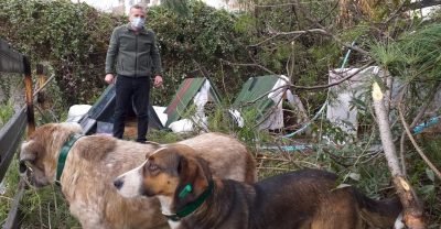 Zonguldak’ta hayvansever doktor ‘can dostları’ için de mesai harcıyor