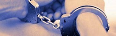 Zonguldak'ta 'Müsilaj' operasyonu: 8 tutuklama
