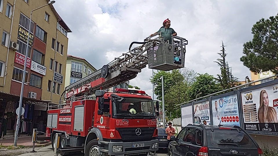 Zonguldak’ta kargadan kaçan yavru kedi ağaçta mahsur kaldı