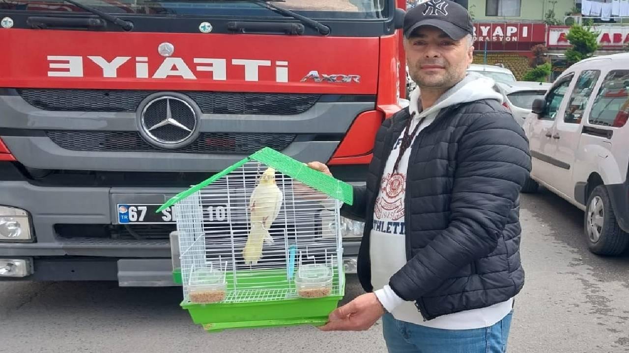 Zonguldak’ta evin penceresinden kaçan papağanı itfaiye yakaladı