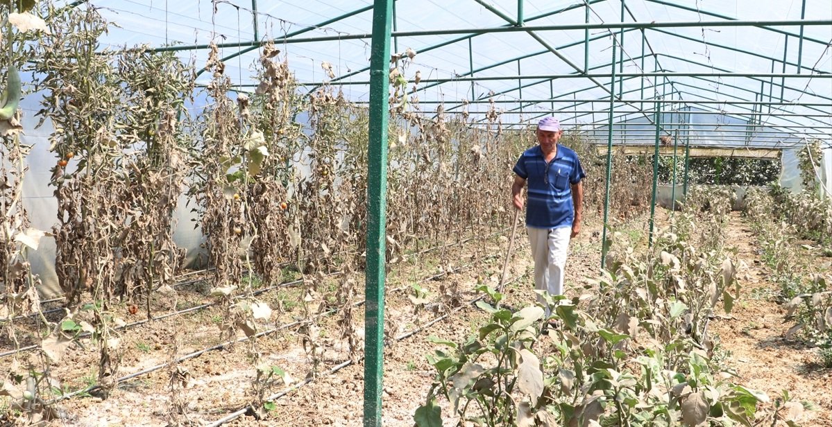Zonguldak’ta ürünleri selde zarar gören çiftçi ve seracılar üzgün