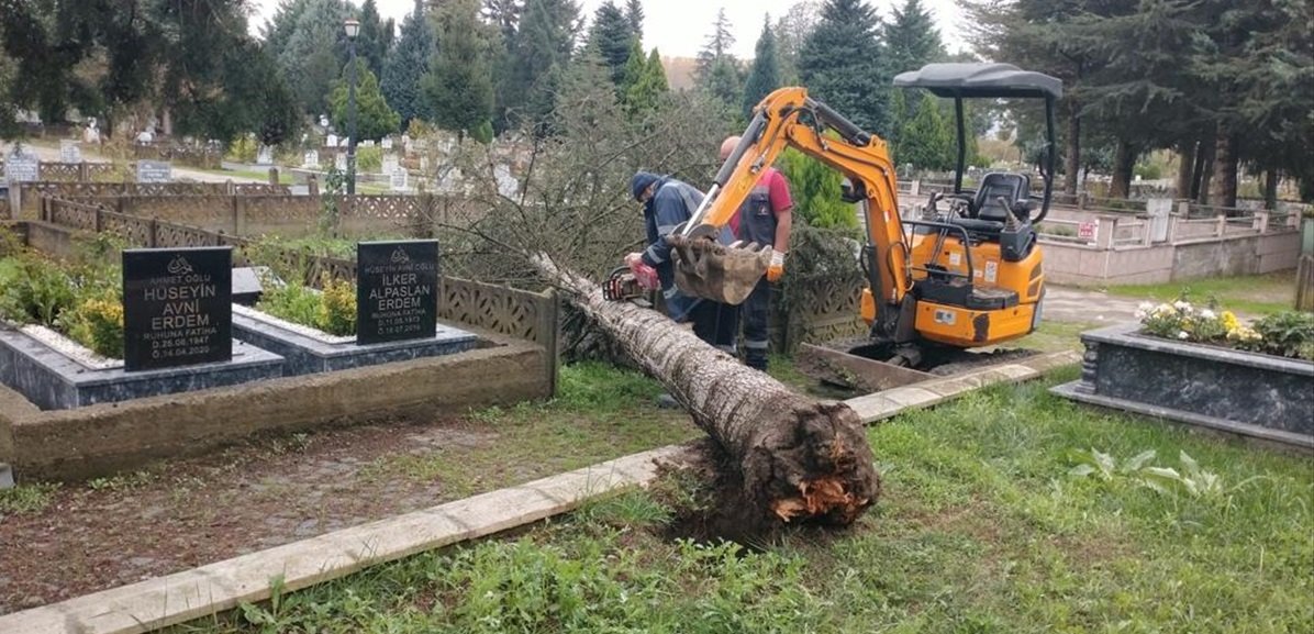 Zonguldak’ta fırtınada devrilen ağaçlar mezarlara zarar verdi